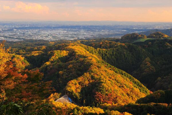 mttakao2